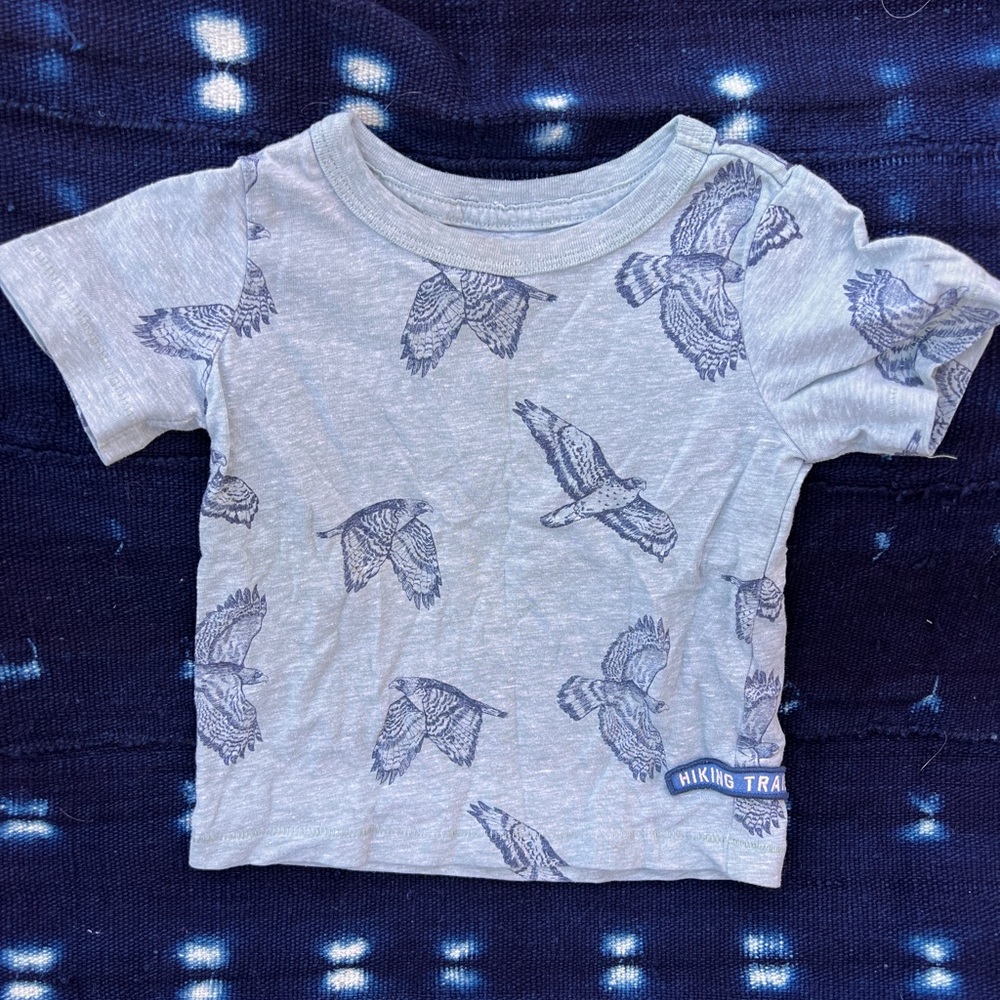 Falcon Tee